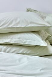 CHRISTY Pure Cotton Percale Standard Pillowcase Pair in Green - thumbnail 4