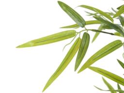 Vente-unique Artificial Bamboo Tree - H122 Cm - Green - BAMBOUSERAIE - thumbnail 5