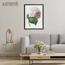 "Artery8 Hydrangea Botanical Illustration Redoute Framed Canvas Wall Art in White - Size: W12"" x H16""" - thumbnail 3