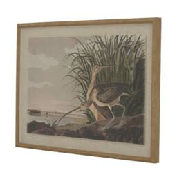 Lemon Pavilion Furniture and Decor Flora & Fauna Collection Curlews on Linen in Beaded Frame in Brown