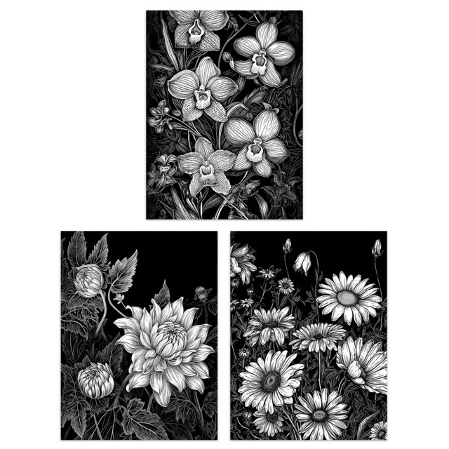 Artery8 Set of 3 Elegant Dahlia Daisy & Orchid Flowers Floral Black & White Striking Impact Artwork Unframed Wall Art Living Room Poster Prints Pack - image 1
