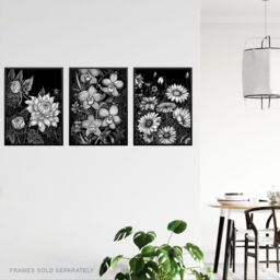 Artery8 Set of 3 Elegant Dahlia Daisy & Orchid Flowers Floral Black & White Striking Impact Artwork Unframed Wall Art Living Room Poster Prints Pack - thumbnail 3