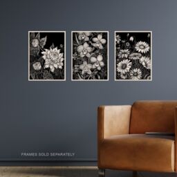 Artery8 Set of 3 Elegant Dahlia Daisy & Orchid Flowers Floral Black & White Striking Impact Artwork Unframed Wall Art Living Room Poster Prints Pack - thumbnail 2