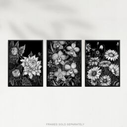 Artery8 Set of 3 Elegant Dahlia Daisy & Orchid Flowers Floral Black & White Striking Impact Artwork Unframed Wall Art Living Room Poster Prints Pack - thumbnail 5