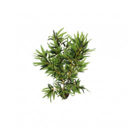 Oypla Artificial Bamboo Tree Plant in Green - thumbnail 3