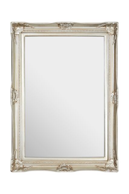 Orsina Ornate Acanthus Leaf Wall Mirror, Decorative Accent Piece For Hallway, Detailed Carved Rectangular Mirror in Gold - image 1
