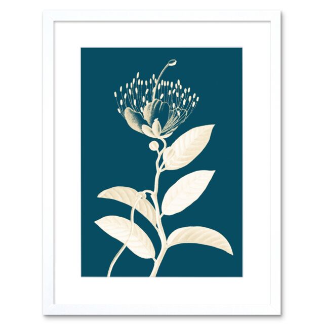 "Artery8 Wall Art Print Modern Bold Biodiversity Blue Plant Artwork Framed 9X7 Inch in White - Size: W7"" x H9""" - image 1