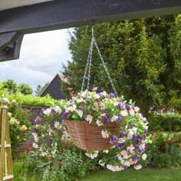 mysmartbuy Artificial Petunia Flower Regal Hanging Basket with Metal Chain - thumbnail 2