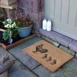 Artsy Mats Chickens & Chicks Doormat (60 x 40cm) in Brown - Size: 40 cm x 60 cm - thumbnail 2