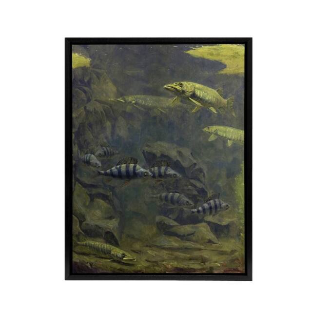 "Artery8 Pike & Perch Aquarium Framed Canvas Wall Art Print Gerrit Dijsselhof in Green - Size: W18"" x H24""" - image 1
