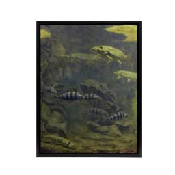 "Artery8 Pike & Perch Aquarium Framed Canvas Wall Art Print Gerrit Dijsselhof in Green - Size: W18"" x H24""" - thumbnail 1