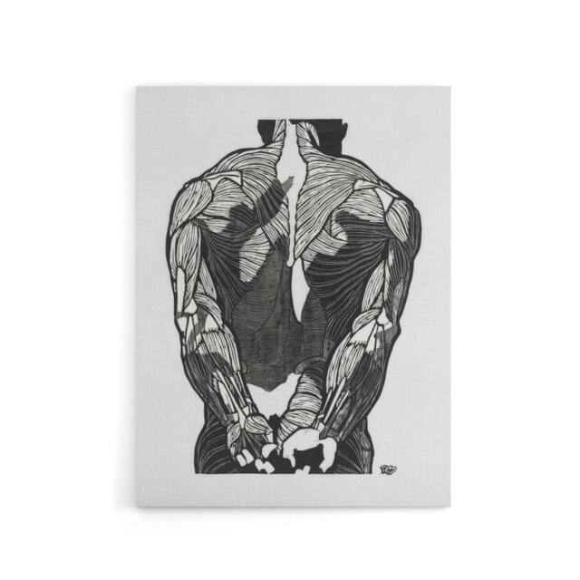 "Artery8 Anatomical study of mans back muscles Stolk Canvas Wall Art Print in White - Size: W18"" x H24""" - image 1