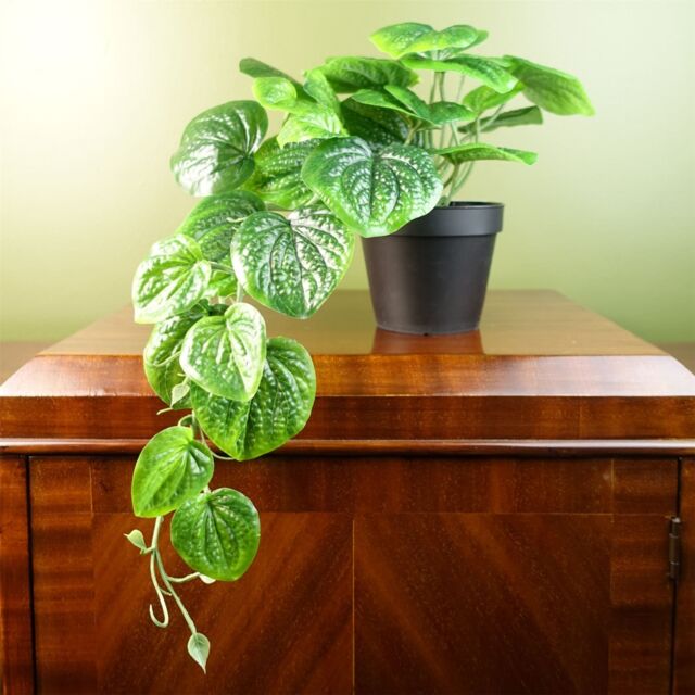 Leaf Artificial 35cm Trailing Natural Look Potted Pothos Plant in Green - image 1