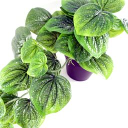 Leaf Artificial 35cm Trailing Natural Look Potted Pothos Plant in Green - thumbnail 4