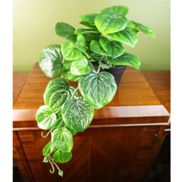 Leaf Artificial 35cm Trailing Natural Look Potted Pothos Plant in Green - thumbnail 7