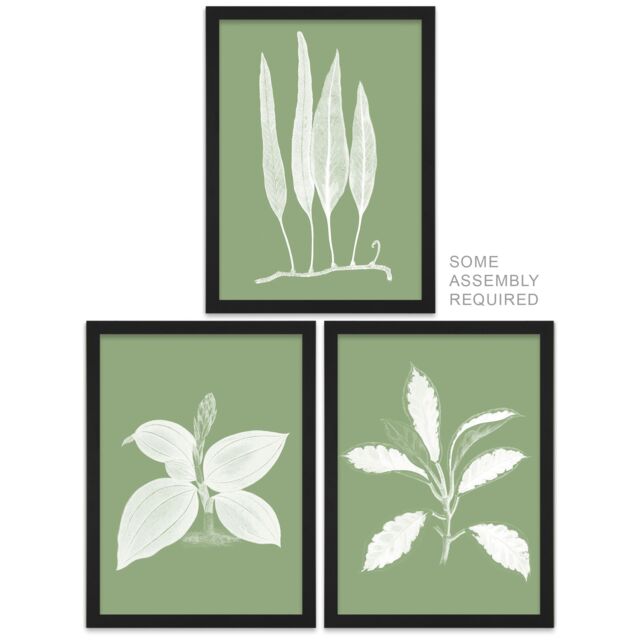 Artery8 A4 Wall Art & Frame Set of 3 Sage Green Tree Plant Detailed Foliage - image 1