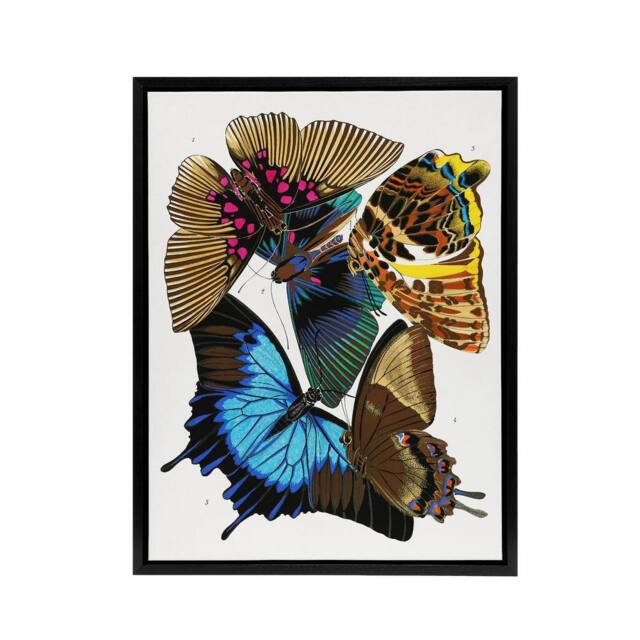 "Artery8 Colourful Vintage Butterflies Framed Canvas Wall Art Print Eugene Seguy - Size: W12"" x H16""" - image 1