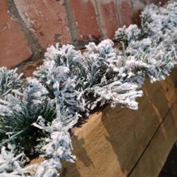 Samuel Alexander 270cm (9ft) Luxury Green Christmas Snowflocked Garland - thumbnail 4