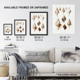 "Artery8 Molluscs of the Northern Seas Albert I Wall Art Poster Print in White - Size: W12"" x H16""" - thumbnail 3