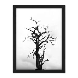 "Artery8 Wall Art Print Lone Dead Tree Silhouette Black White Large Framed Wall Décor Art - Size: W18"" x H24""" - thumbnail 1