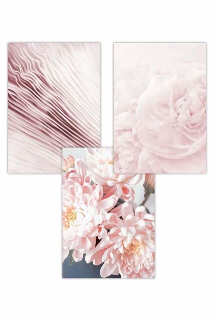 ARTZE Set of 3 Abstract Pink Macro Floral Art Posters in Pale Pink - Size: W50 cm x H70 cm - image 1