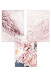 ARTZE Set of 3 Abstract Pink Macro Floral Art Posters in Pale Pink - Size: W50 cm x H70 cm - thumbnail 1