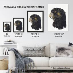 "Artery8 Cockatoo Parrot Head Watercolour Schouman Wall Art Poster Print in White - Size: W12"" x H16""" - thumbnail 3