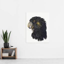 "Artery8 Cockatoo Parrot Head Watercolour Schouman Wall Art Poster Print in White - Size: W12"" x H16""" - thumbnail 4