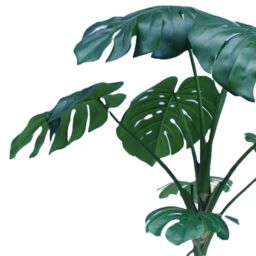 Leaf Monstera Tree Green Deluxe Faux Plant 180cm - thumbnail 2