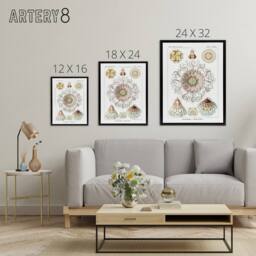 "Artery8 Vintage Jellyfish Ocean Marine Haeckel Botanical Framed Canvas Art in White - Size: W12"" x H16""" - thumbnail 4