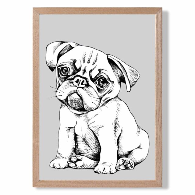 ARTZE Sketch Pug Dog on Light Grey Framed Print SIZE: A2 with Oak Frame - image 1