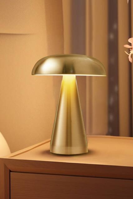 H&O Direct Mushroom Shape Rechargeable Dimmable Table Lamp Night Light in Gold - image 1