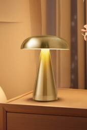 H&O Direct Mushroom Shape Rechargeable Dimmable Table Lamp Night Light in Gold - thumbnail 1