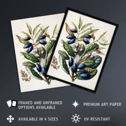 Artery8 New Zealand Taraire Fruit Branch Featon Framed Wall Art Print in Beige - Size: A4 - thumbnail 2