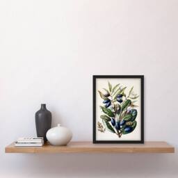 Artery8 New Zealand Taraire Fruit Branch Featon Framed Wall Art Print in Beige - Size: A4 - thumbnail 4