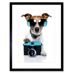 "Artery8 Jack Russell Dog Shades Photographer Home Decor 12x16"" Framed Art in Blue - Size: W12"" x H16""" - thumbnail 1