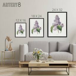 "Artery8 Lilac Floral Illustration Redoute Vintage Black Framed Canvas Wall Art in White - Size: W24"" x H32""" - thumbnail 4