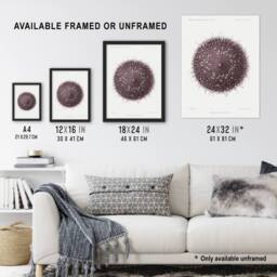 "Artery8 Sea Urchin Marine Life Illustration Albert I Framed Wall Art Print in White - Size: W12"" x H16""" - thumbnail 3