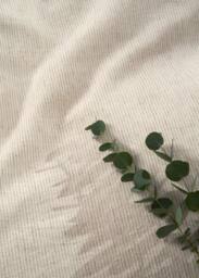 Truly Mushroom Stripe Linen Cotton Duvet Cover in Light Brown - Size: Super King - thumbnail 3