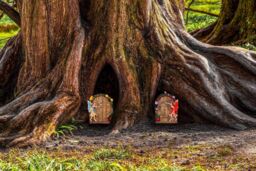Marco Paul 2x Miniature Sparkle Fairy Doors - thumbnail 5