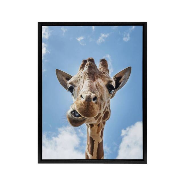 "Artery8 Funny up close look at a giraffe Highsmith Framed Canvas Wall Art in Blue - Size: W12"" x H16""" - image 1