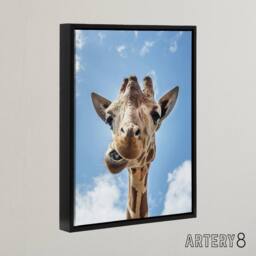 "Artery8 Funny up close look at a giraffe Highsmith Framed Canvas Wall Art in Blue - Size: W12"" x H16""" - thumbnail 2