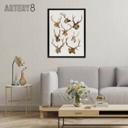"Artery8 Vintage Illustration of Deer Species Lydekker Framed Canvas Wall Art in White - Size: W18"" x H24""" - thumbnail 3