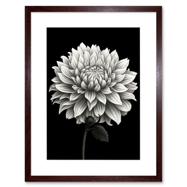 "Artery8 Wall Art Print Dahlia Flower Bloom White on Black Artwork Framed 9X7 Inch in Brown - Size: W7"" x H9""" - image 1