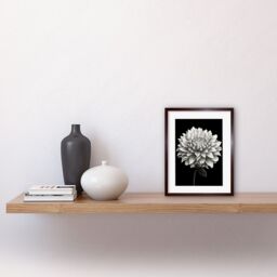"Artery8 Wall Art Print Dahlia Flower Bloom White on Black Artwork Framed 9X7 Inch in Brown - Size: W7"" x H9""" - thumbnail 2