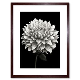 "Artery8 Wall Art Print Dahlia Flower Bloom White on Black Artwork Framed 9X7 Inch in Brown - Size: W7"" x H9""" - thumbnail 1