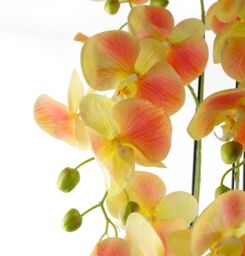 Leaf Large Yellow Artificial Orchid Plant Artifcial 41 REAL TOUCH flowers Botanik in Green - thumbnail 2