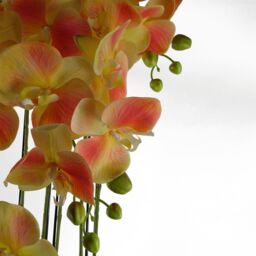 Leaf Large Yellow Artificial Orchid Plant Artifcial 41 REAL TOUCH flowers Botanik in Green - thumbnail 5