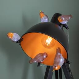 Samuel Alexander Set of 5 Light up Acrylic Christmas Robin Decoration with 30 Ice White LEDs - thumbnail 8