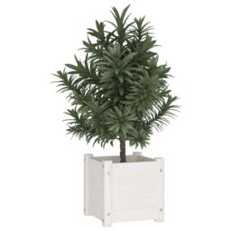 Berkfield Home Garden Planter White 31x31x31 cm Solid Pinewood - Size: 31 x 31 x 31 cm - thumbnail 3